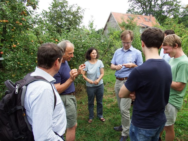 Exkursion ins Arboretum in Bielefeld 2019 (Gruppe steht zwischen Apfelbäumen und lauscht einem Vortrag)