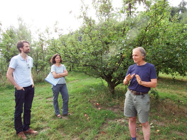 Exkursion ins Arboretum nach Bielefeld im Jahr 2019 (Gruppe steht zwischen Apfelbäumen und lauscht einem Vortrag)