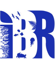 Logo IBR