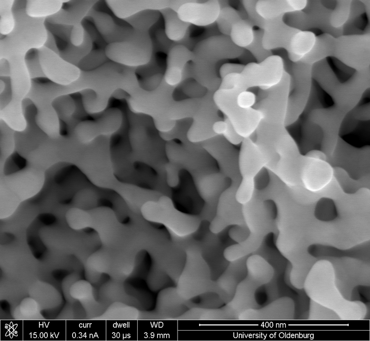 Electronmicroscopic image of nanoporous gold