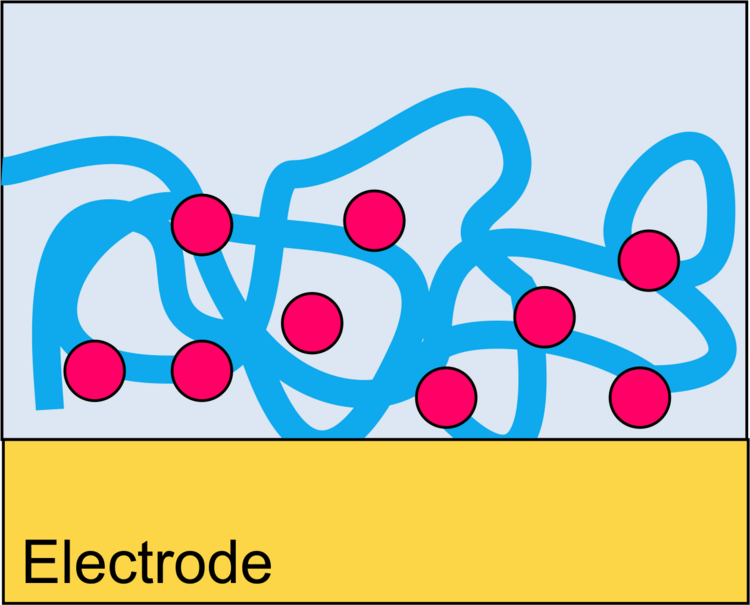 Scheme embedding in conducting polymer network