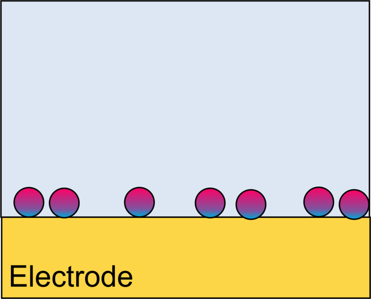 Scheme adsorption of proteins