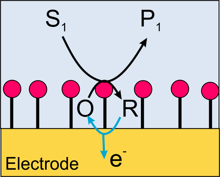 Scheme cross section mediator electrode