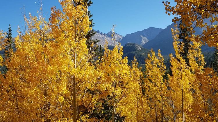 Herbstlandschaft in den Rocky Mountains
